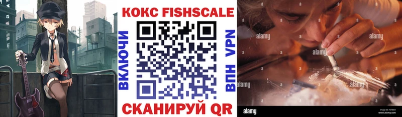Кокаин Fish Scale  Купить закладки  Жиздра 