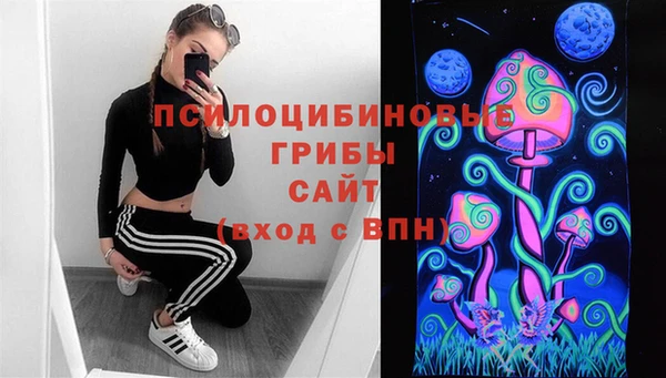 apvp Каменск-Шахтинский