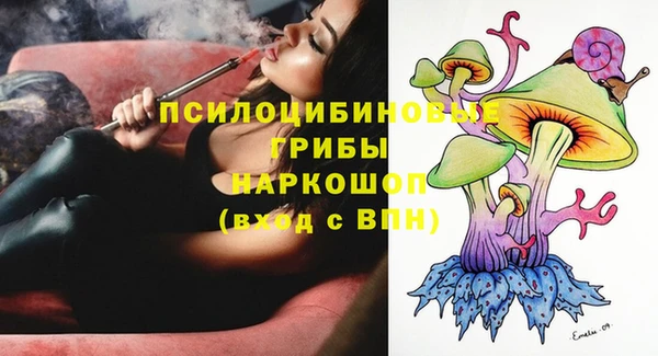 прущая мука Каменногорск