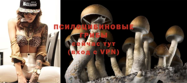 apvp Каменск-Шахтинский
